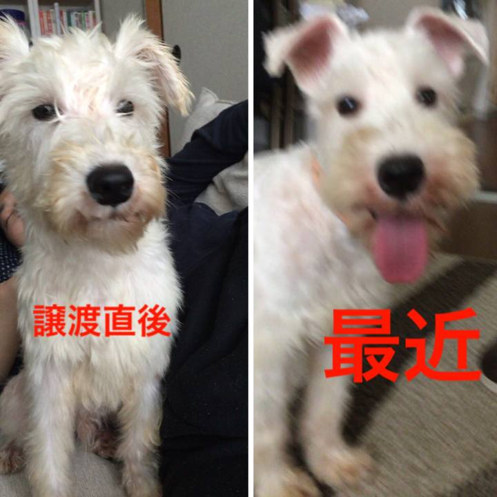 4ea9b3db 9042 419c 85fa 220c5580df96