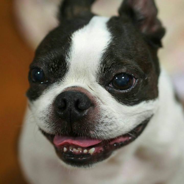 4eaa0401 1301 4ba6 91eb 11632e107d77