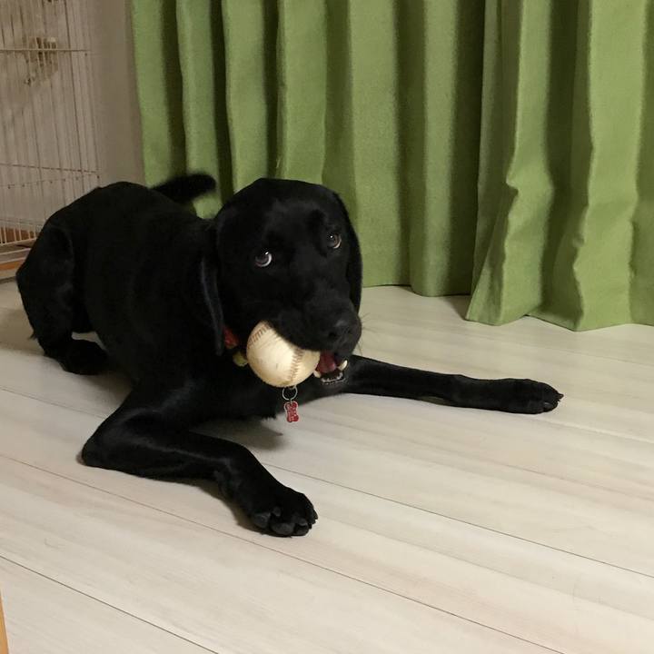 4eaa264e 5a48 4bcb 9554 107bb763e58d