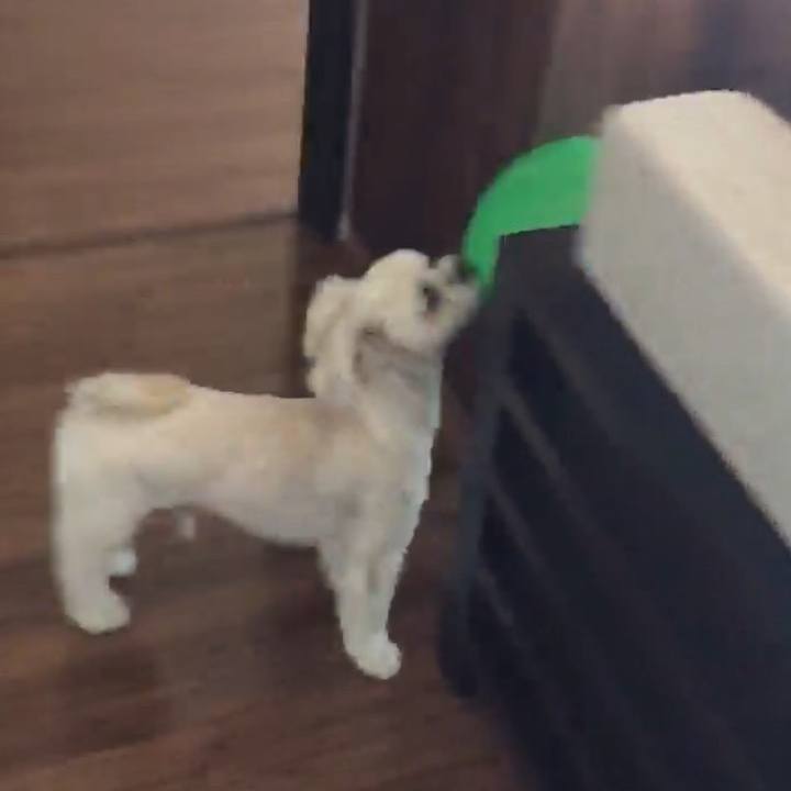 4eaa66af fe34 4476 a31e beef3264bd18