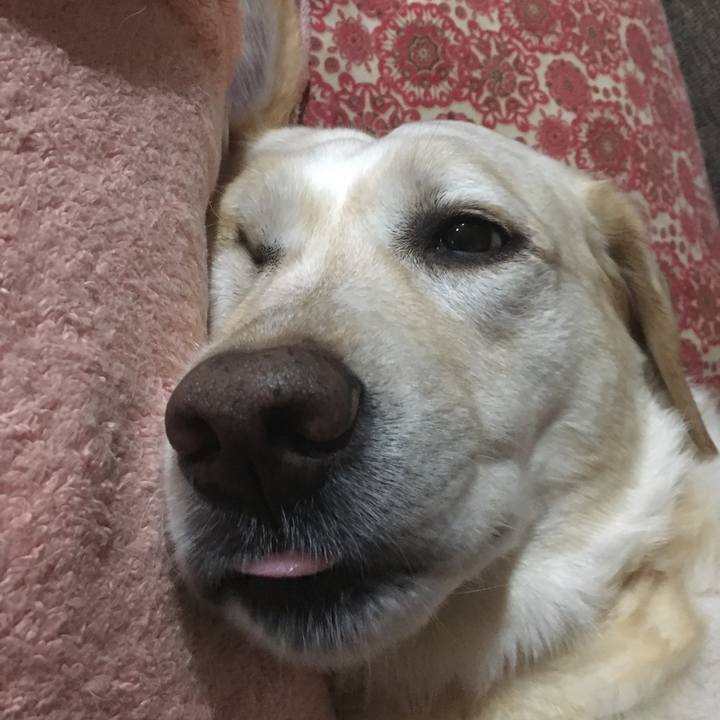 4eabb602 86b8 4e9d 99fc d0b1e8cef61f