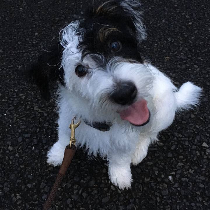 4eabc962 34a8 48d8 bfe6 abc08d46fd50