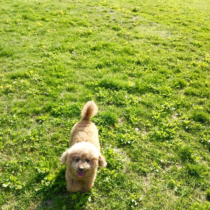 4eabe2b3 5585 485a 80bc 31458600b31d