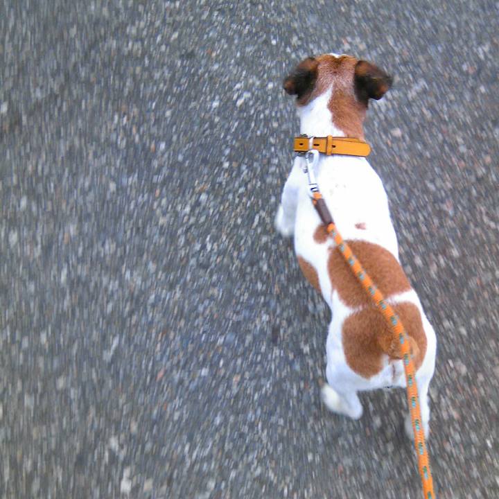 4eabe382 9232 4e5a 89e4 417fcc636800