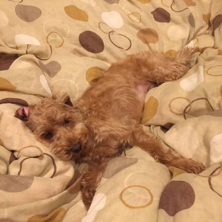 4eac00be 3355 412c b0bc 10bba1a4f991