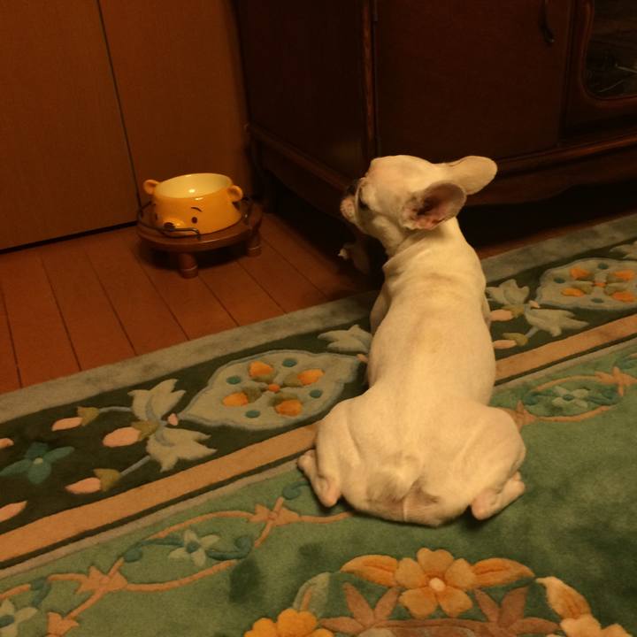 4eaccb8a a23c 445b b79f a483b9923691