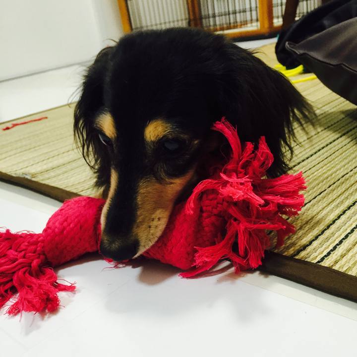 4ead48d9 e79a 46c9 b6e5 4b6b4b92c3f8