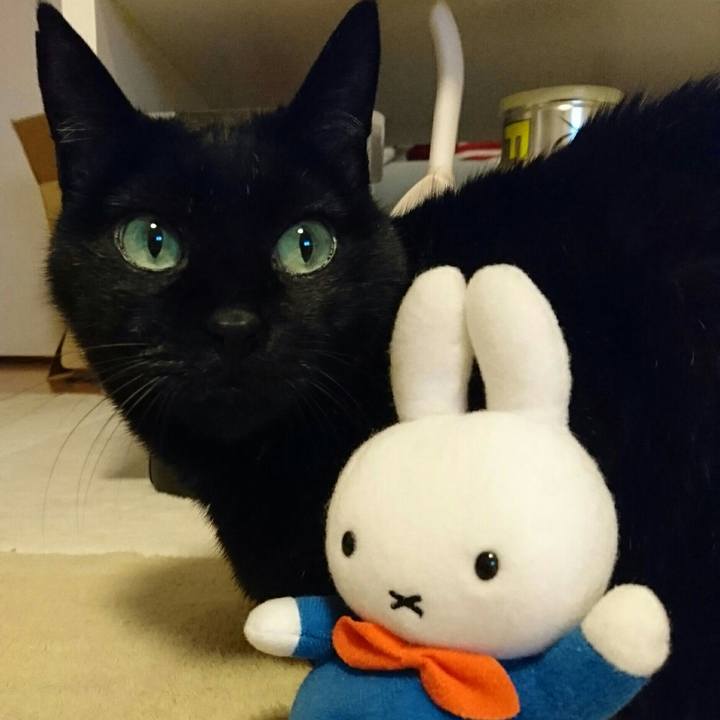 4eae0136 e3f0 41e8 b7e7 6a4b21f719e9