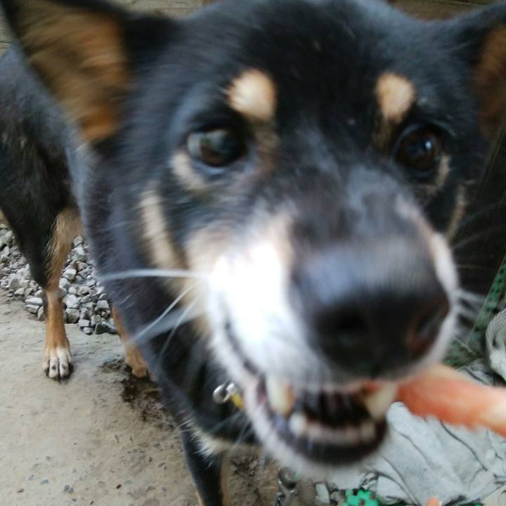 4eae2050 7988 4cd9 a2f2 0861398a0d2a