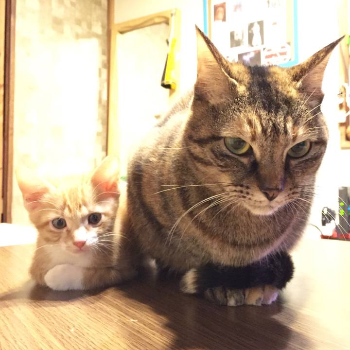 4eaec5c3 c8b6 4f38 8b47 475fce64e1fe