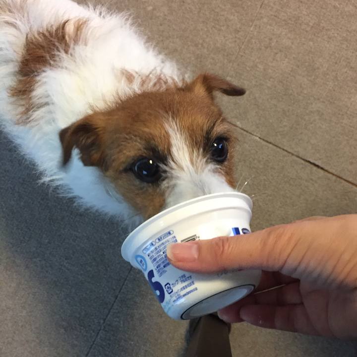 4eaee8c9 5096 4133 9236 48c8efac00f2