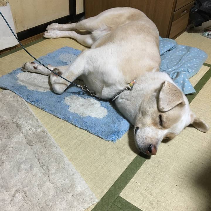 4eaf03db ee29 42e6 9298 80a2c333b73c