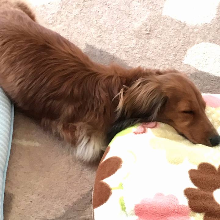 4eaf3456 2d21 422d b4e4 37503c302c2b