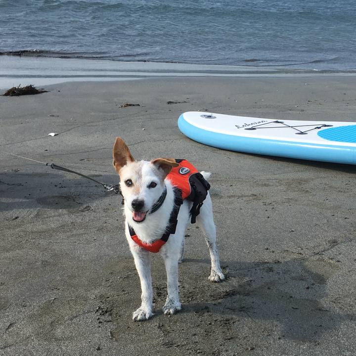 4eb04dbb 6ab9 4a34 b087 5235c5189130