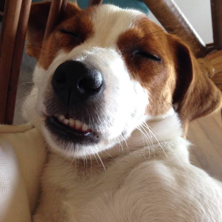 4eb05ca6 6313 44b1 8f42 37d805cc2e7d