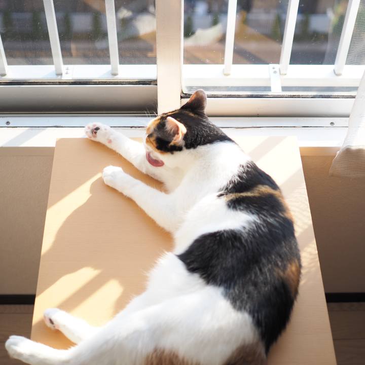 4eb065f0 421f 4e71 98de 9a8c12961f3d