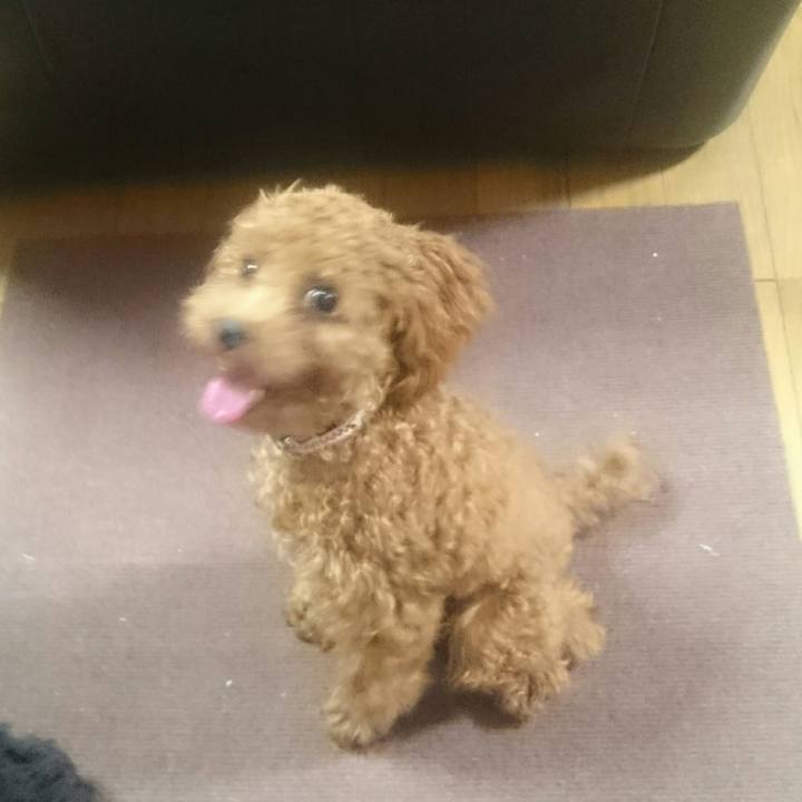 4eb11bec 0463 4a4f a0a1 7b0c6a912f86