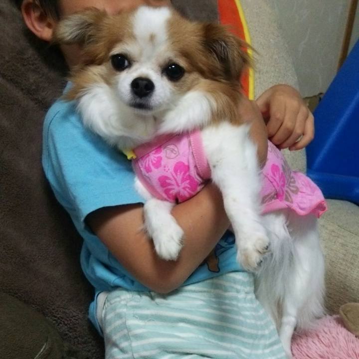 4eb14eb7 8042 42b2 b223 fe3d8a99f6f7