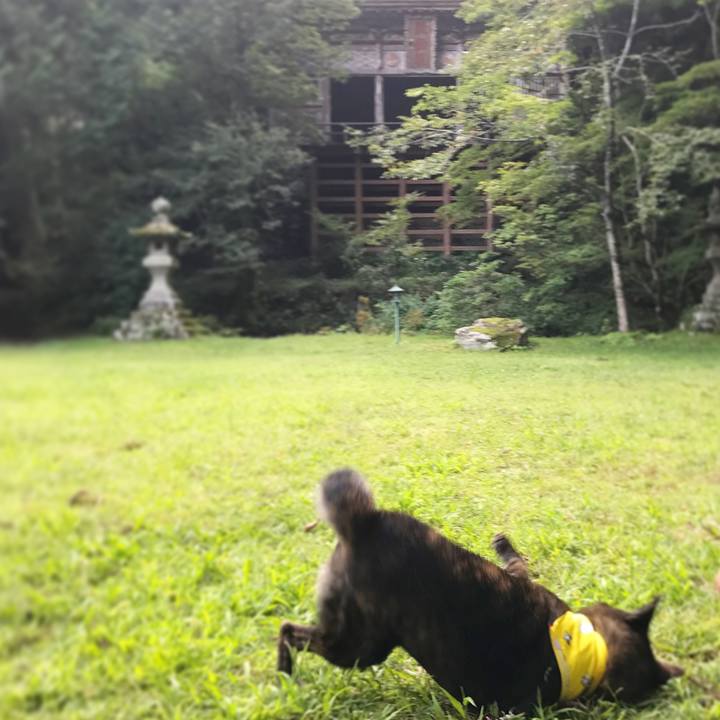 4eb14fcb 532d 47ef bdc8 d85c42bf8a24