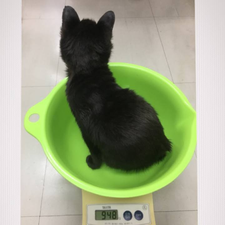 4eb1bfbb 1848 4623 b369 ab02e77854eb