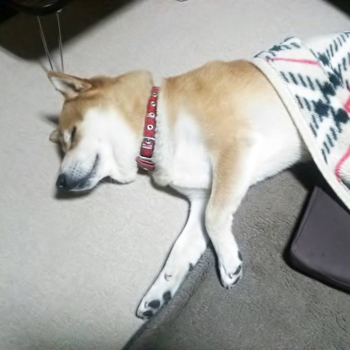 4eb1dd7c b43e 460d 948e a073ef1b665f