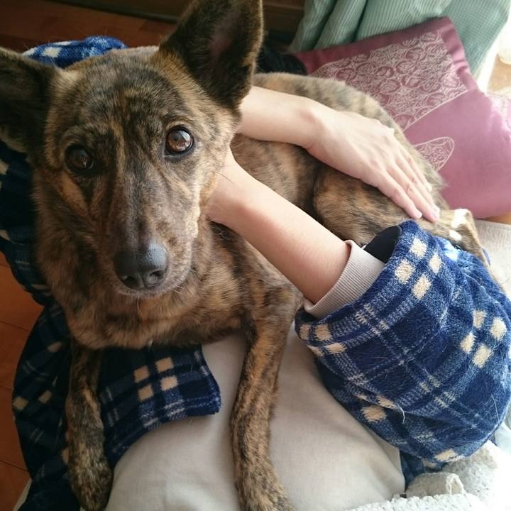 4eb1ef58 b83c 4148 a299 51e937e68715