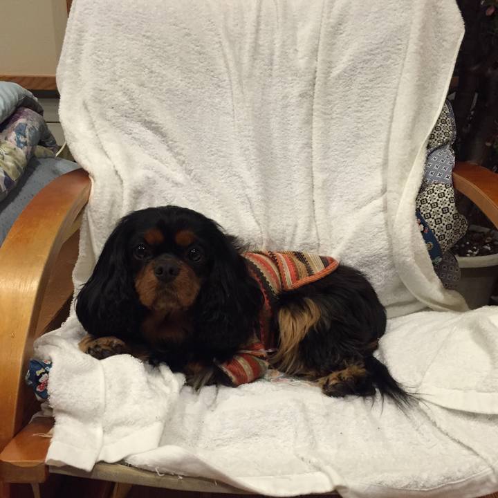 4eb22a66 f513 4404 bad0 762d59f046cb