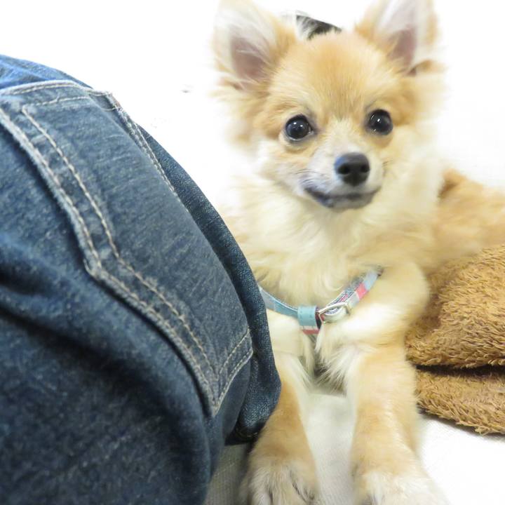 4eb293e0 2e15 412c b403 afb52e38b553