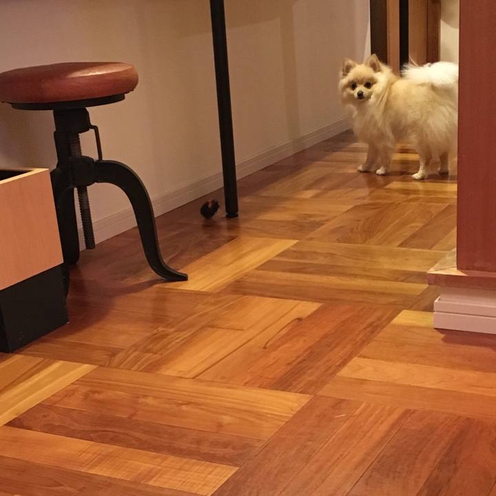 4eb297e8 5fcc 44c2 bdb5 a16e861500d7