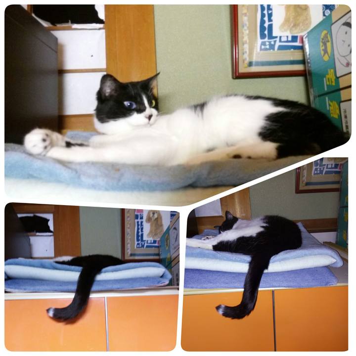 4eb29e33 d84b 488b a413 c7c31cd9b0a3