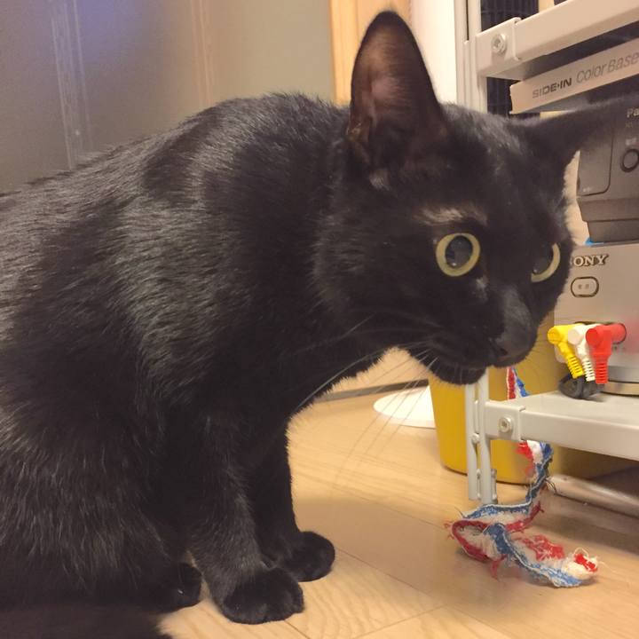 4eb2db68 631e 40fd 9f5e 163203bdc1db