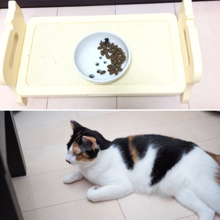 4eb30da2 c078 48e8 88a1 b0bab0159ba9