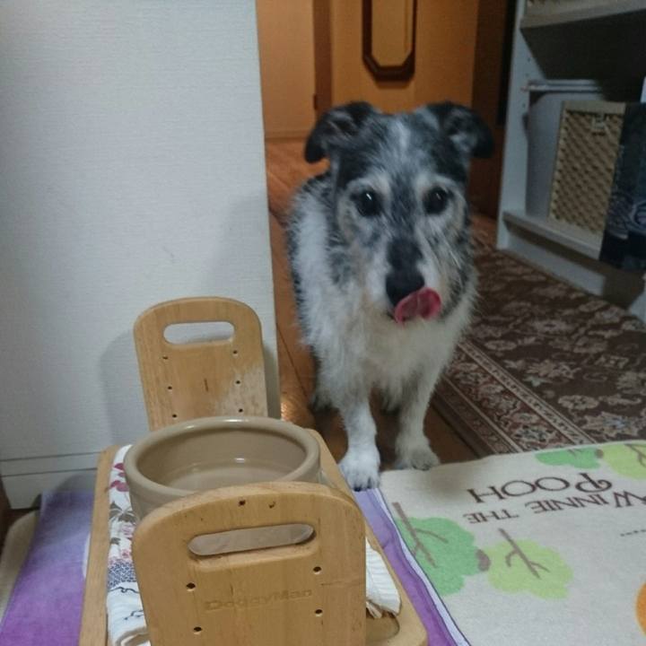 4eb31fc7 26df 46bb b9d9 42daf73979e4