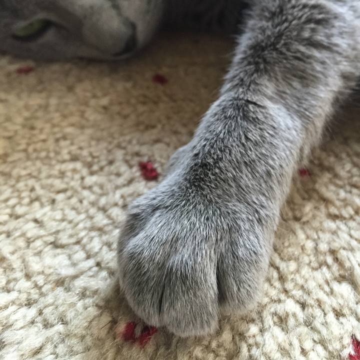 4eb36d77 90dd 4dc3 af70 0f8f1680d1c5