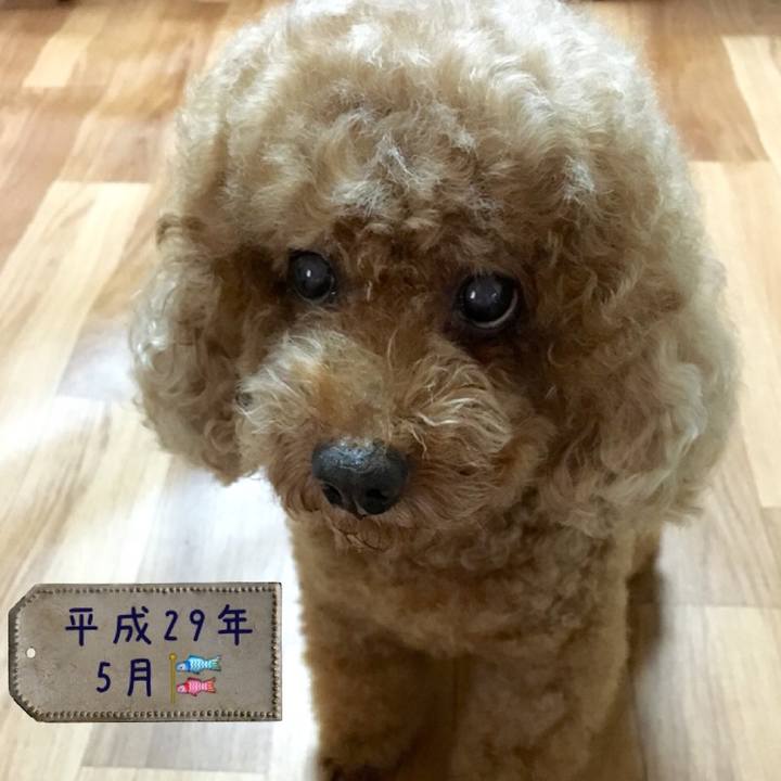 4eb3b41f e6c8 49a7 9b95 807540918f60