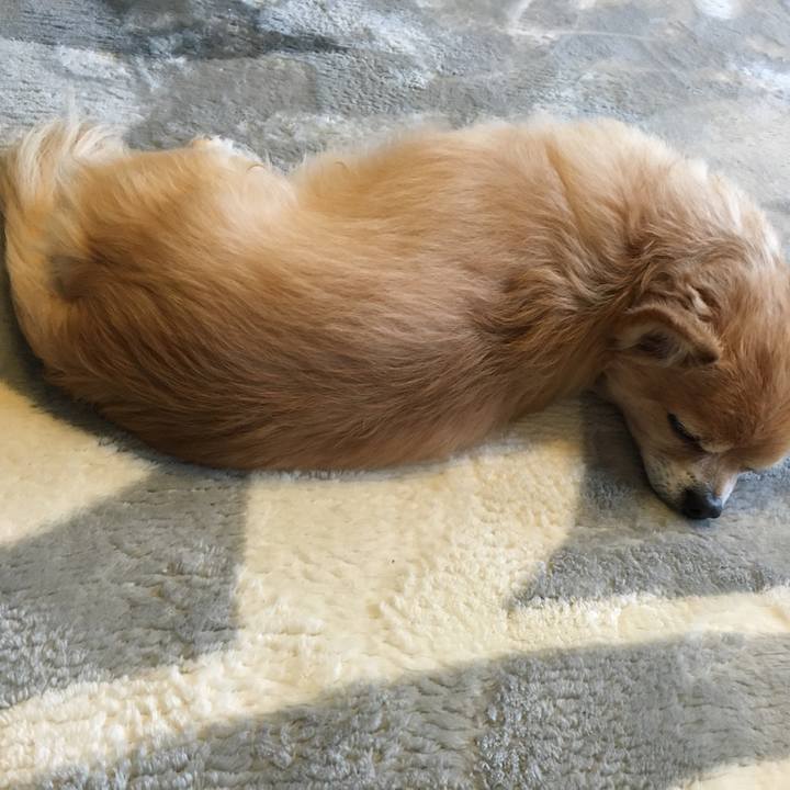 4eb4f75c ae8c 4e0e a1c1 3c43d55d8906