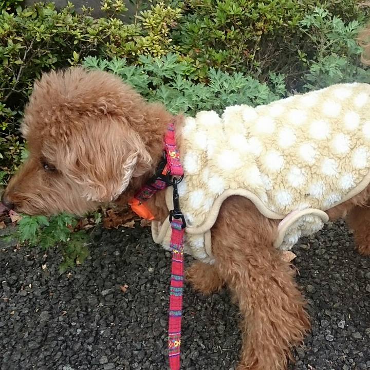 4eb56fc3 2e87 4044 bf48 5fdd62f7a4c4