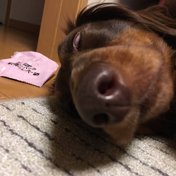 4eb5d716 0b89 4160 bf2d f286762719fd