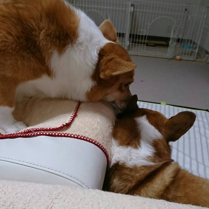 4eb61994 2450 49e8 98a0 b618b0ecd569