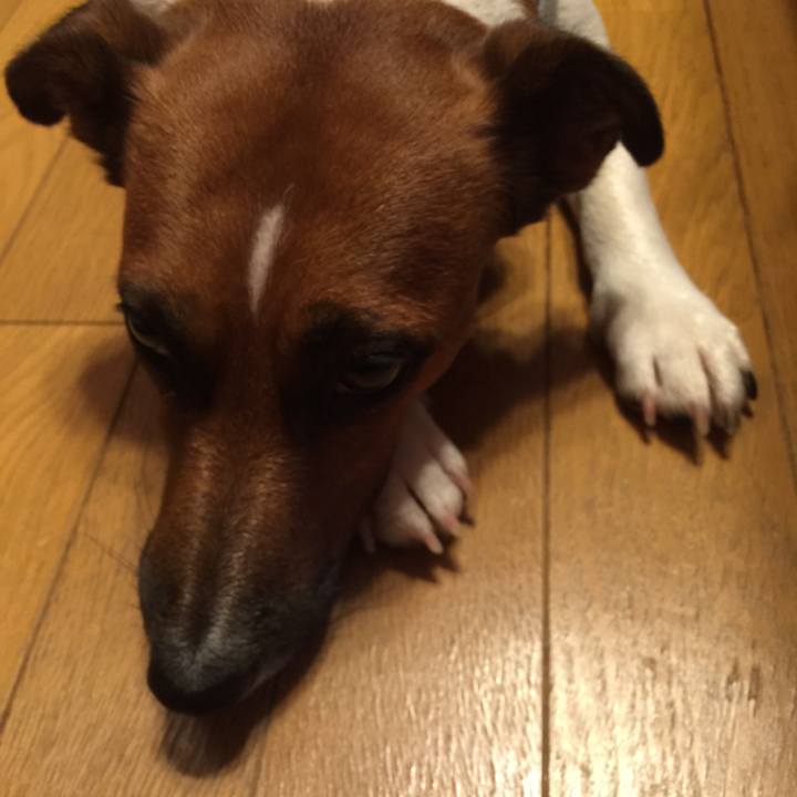 4eb7314b fc9d 4754 8239 736992239f3b