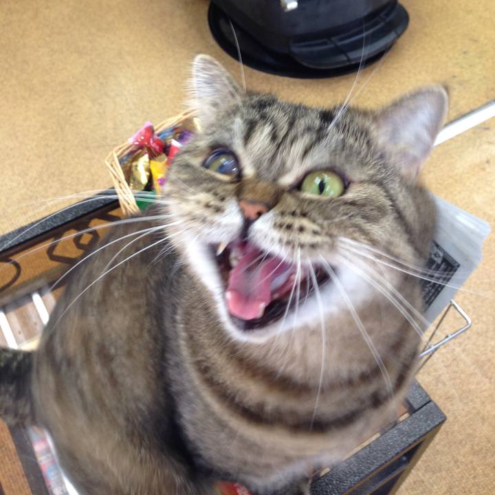 4eb7d7e7 6631 496a a332 1b39b3a609dd