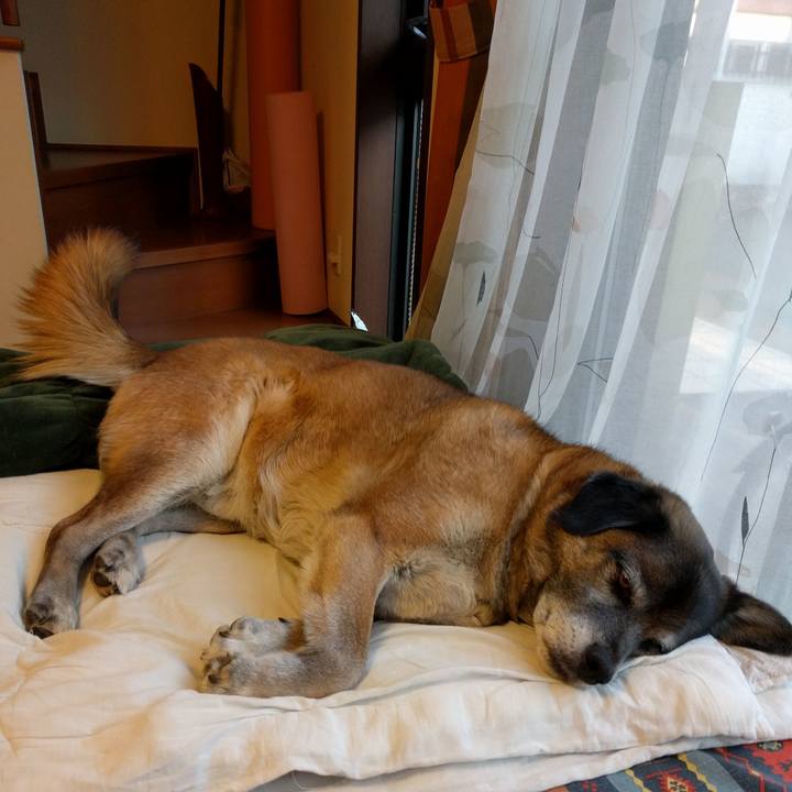 4eb7dc82 c7ab 4ff4 b309 43086aa80a8e