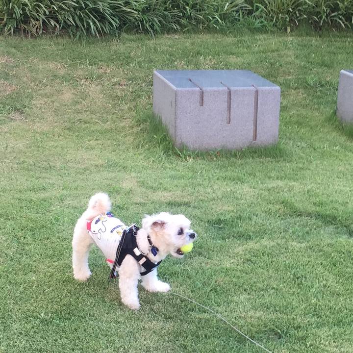 4eb82e61 d4e0 4b59 bea0 7cacdb155eed