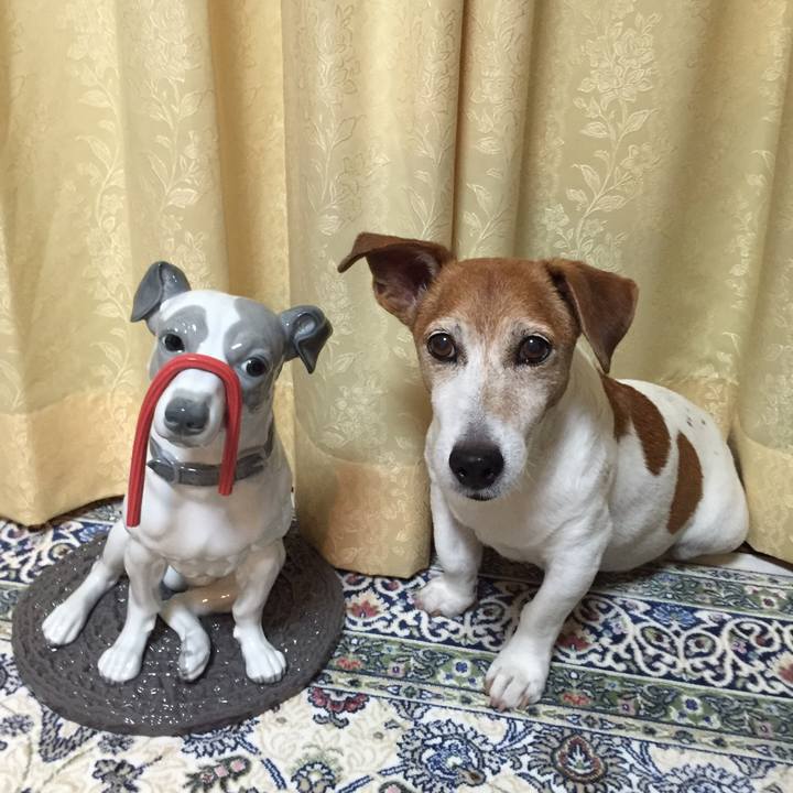 4eb85760 3aec 4b0a ab8b a8f37deaa527