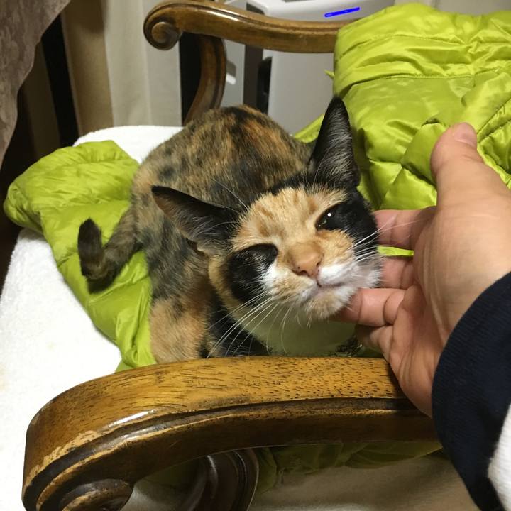 4eb89316 93cc 47c7 bf9c 369d2d05b042