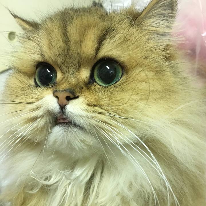 4eb94580 8cc7 4ac7 8d89 45298689d3da