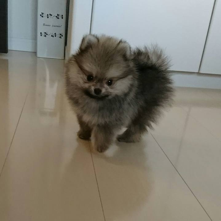 4eb9d2c6 1ff3 49d4 92c8 7f174a418305