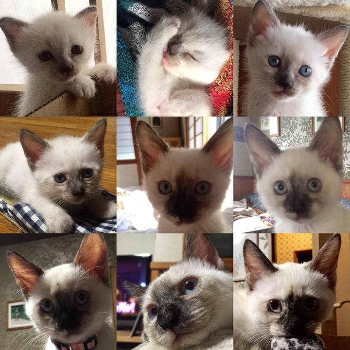 4eba0970 9df2 46d3 88f0 13e320cc8790