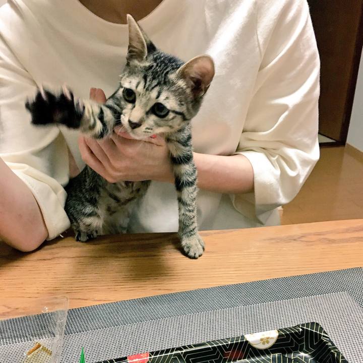 4eba991a 97e1 4805 a336 7afc62ad5095