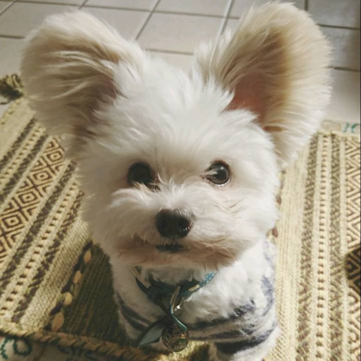 4ebacc46 9a9b 4416 8c56 cb97ab12d3c9